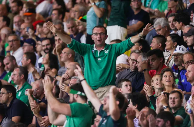 Ireland fan