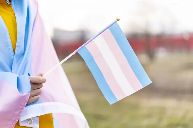 Trans flag