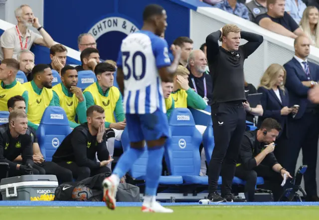 Eddie Howe holds his hands to his head in disbelief.