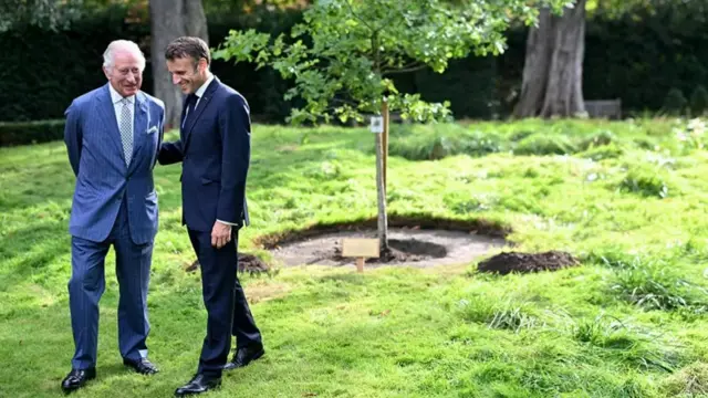 Macron touches Charles on the back as the two speak near a tree sapling