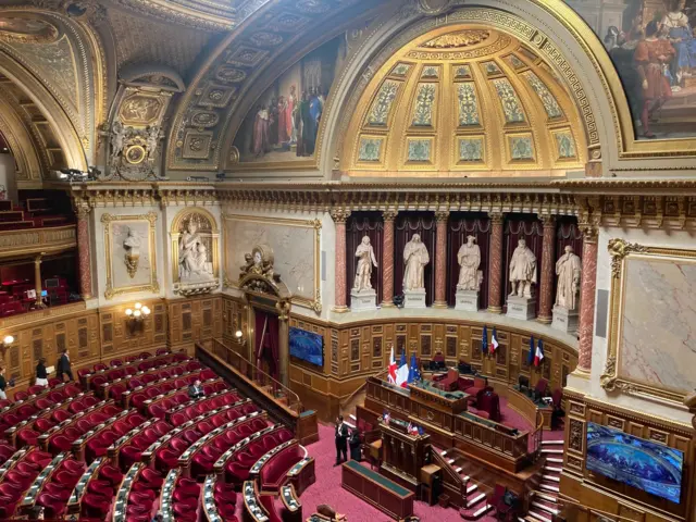 French Senate