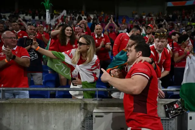 Wales fans celebrate