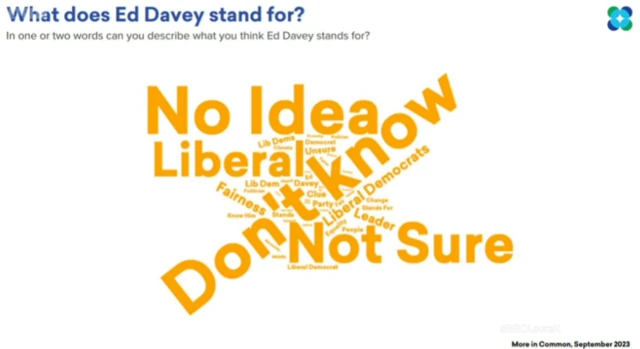 Graph showing what does sir ed davey stand for?