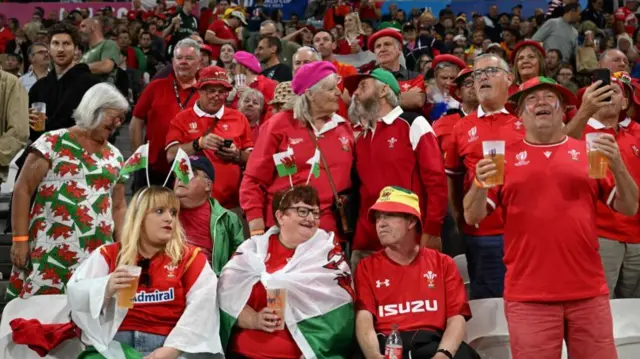 Wales fans in Lyon