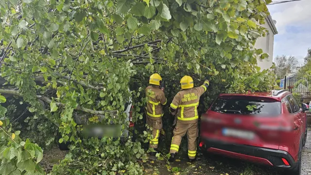 Firefighters deal with a tree, which has fallen on top of cars