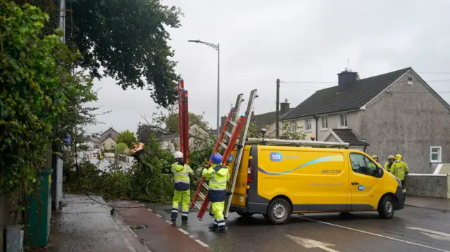 Emergency services at the scene of a fallen tree near Blackrock in Cork on Wednesday