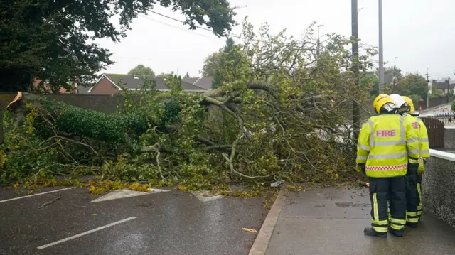 Emergency services attend the scene of a fallen tree near Blackrock in Cork, Ireland