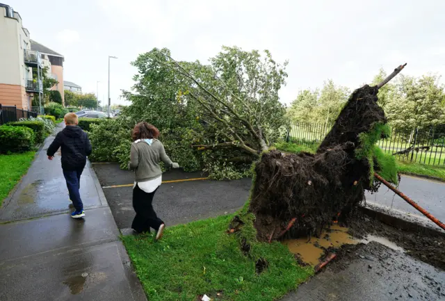 Two people walk past fallen tree on Thornleigh Road in Swords