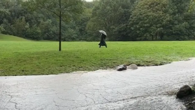 New York park in the rain