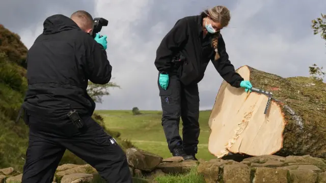 Police forensic officers at the scene