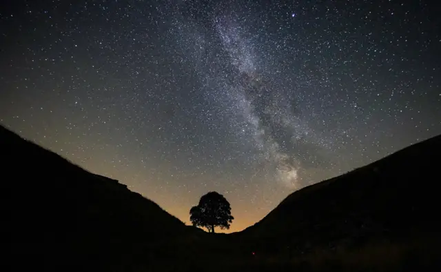 Sycamore gap