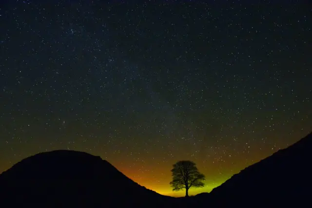 The Northern Lights coming up behind Sycamore Gap