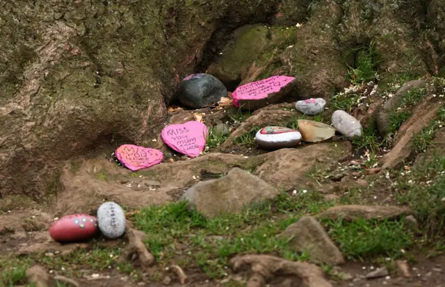 Messages left on stones beneath the remains of the tree at Sycamore Gap next to Hadrian's Wall