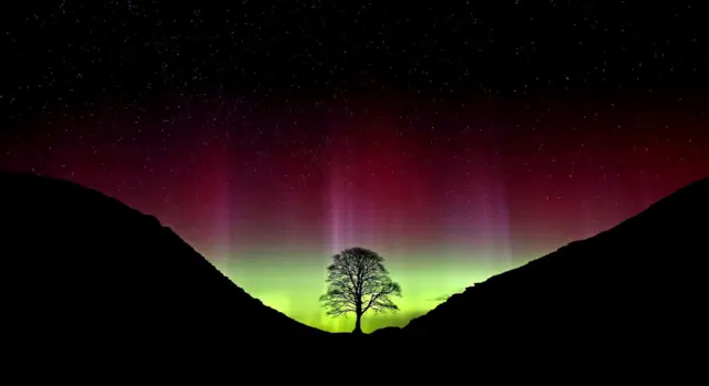 Sycamore gap