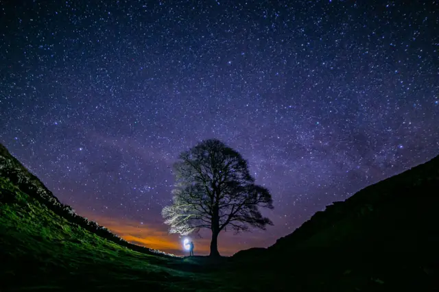 Night time shot of Sycamore Gap tree