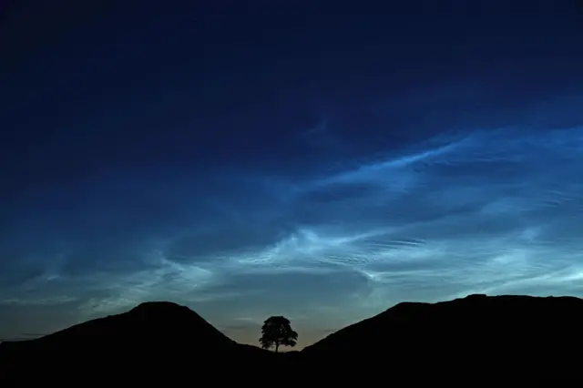 Sycamore gap