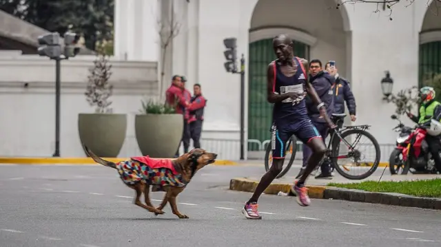 Robert Kimutai Ng’eno is chased by a dog