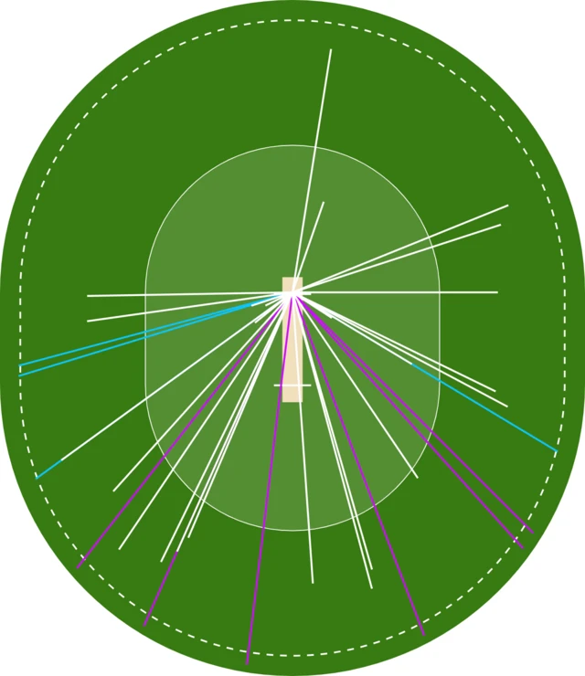 Finn Allen spider map