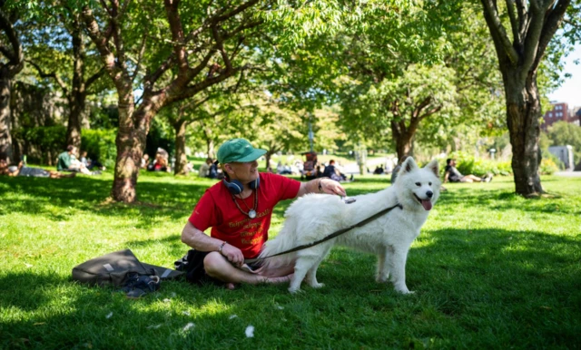 People relax in Castle Park, Bristol, as forecasters predict one "last dose of summer"