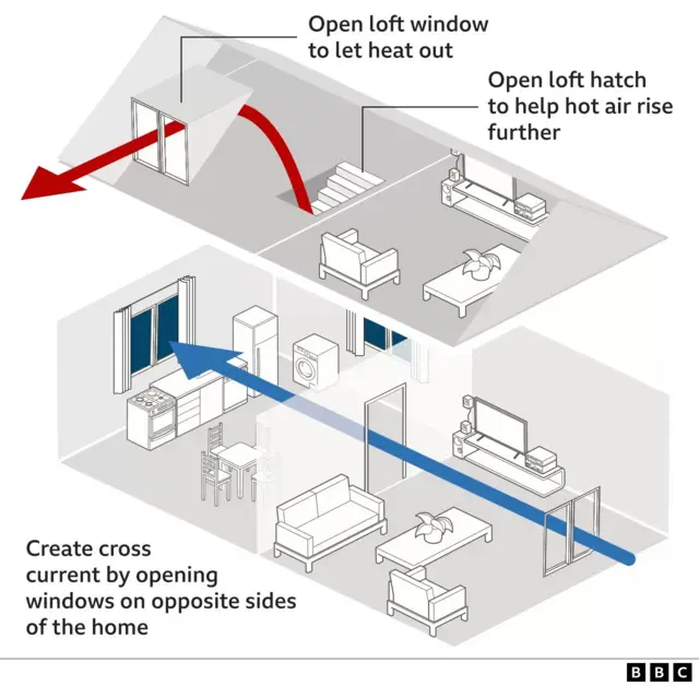 A diagram of the house