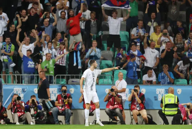 Slovenia fans enjoying the European qualifier against Northern Ireland