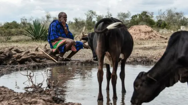 A Maasai man looks on as his livestock drink water at the Msomera village in Handeni, Tanzania - July 2022