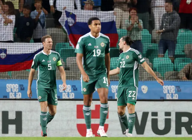 Northern Ireland players pictured after Slovenia score