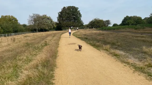 Dog walkers in Richmond Park