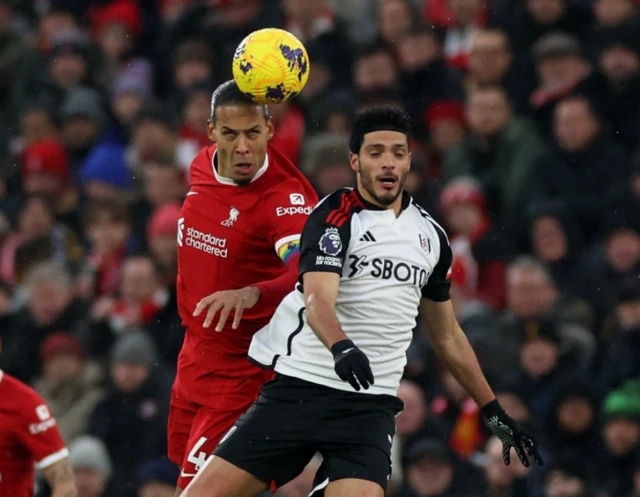 Virgil van Dijk and Raul Jimenez