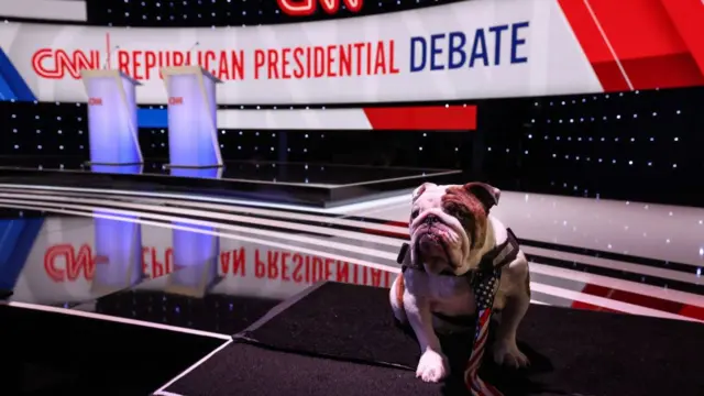 An English bulldog named Griff II is the mascot of Drake University, the debate's venue