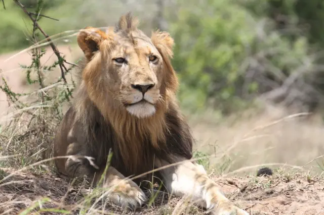 Akagera National Park