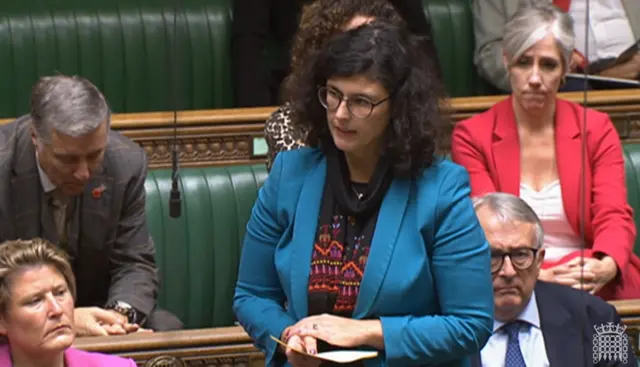 Layla Moran telling MPs in November in the Commons that one of her family members in Gaza had died