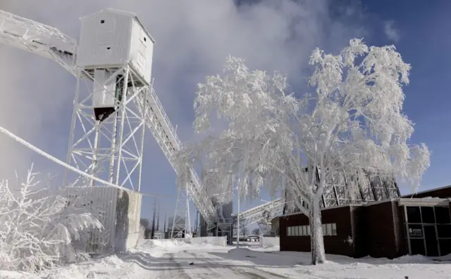 A tree covered in ice as a result of steam exhaust from a chemical plant in Ames, Iowa