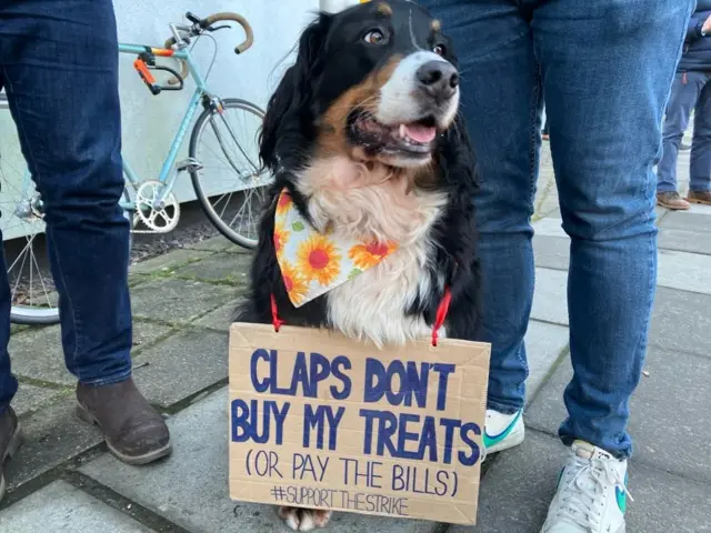 Dog with sign supporting the junior doctors protest