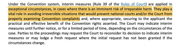 An excerpt from the ECtHR's Rule 39 document