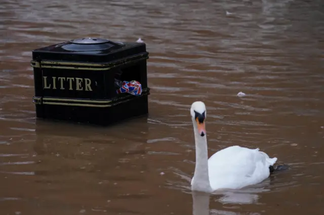 Flooding in Worcester