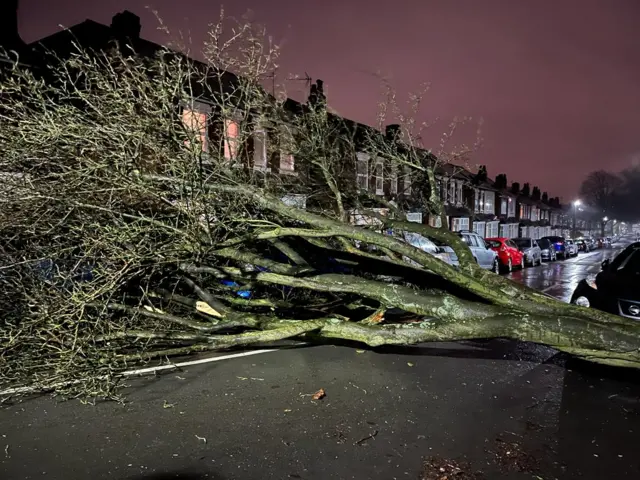 Gristhorpe Road, Selly Oak