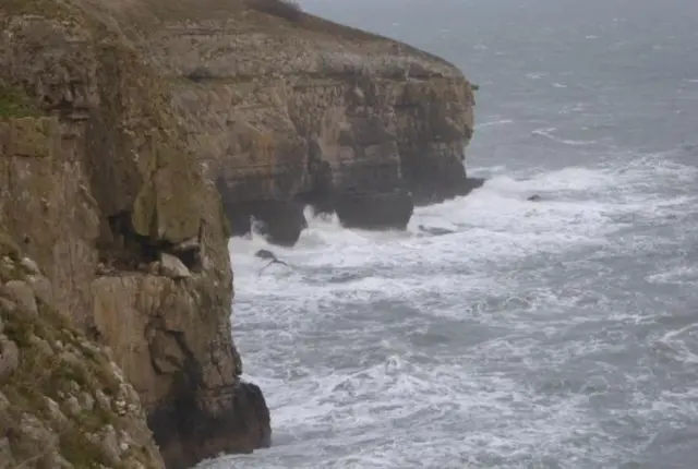 Swanage cliffs