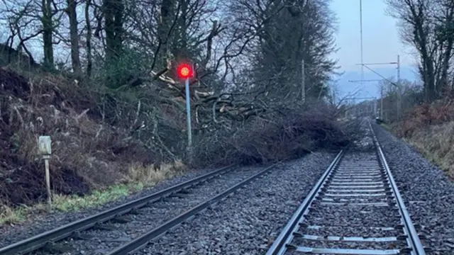 A railway line is blocked by a fallen tree