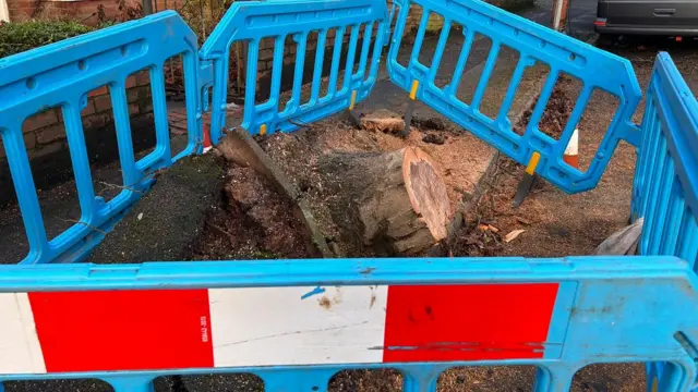 Tree stump on Gristhorpe Road in Selly Oak