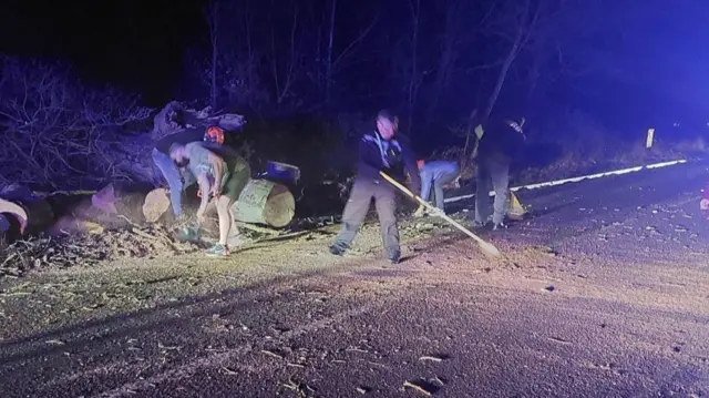 People clear debris from a fallen tree from a road at night