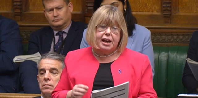 Labour MP Liz Twist speaking in Commons