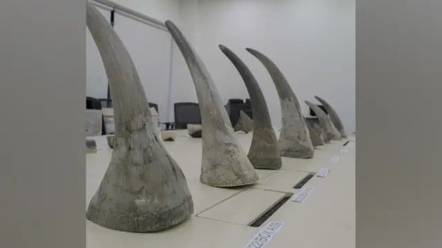 Horn seized in Singapore