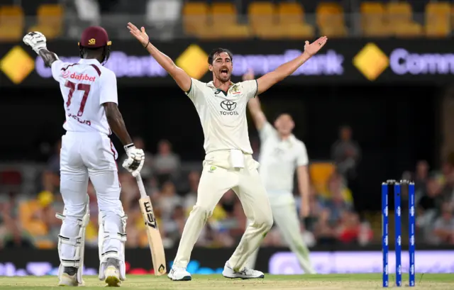 Mitchell Starc appeals