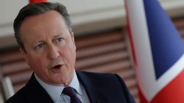 David Cameron speaks in front of a UK flag