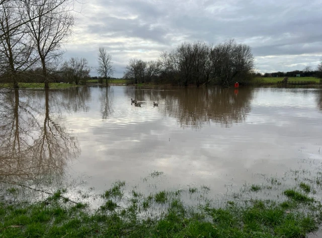 Nantwich flooding