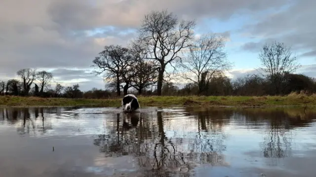 Flooding at Redditch