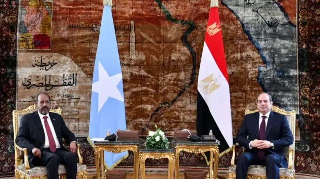 Somalian President Hassan Sheikh Mohamud meets Egyptian President Abdel Fattah al-Sisi in Cairo, Egypt on June 25, 2022. (