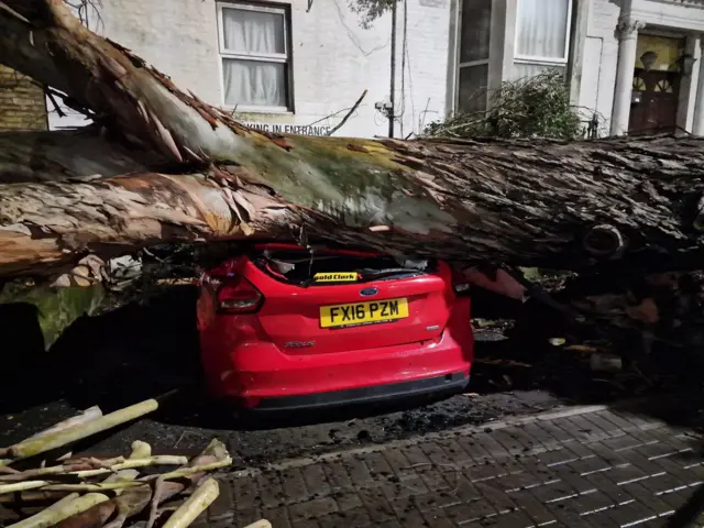 A fallen tree in Forest Hill, south London, on Tuesday