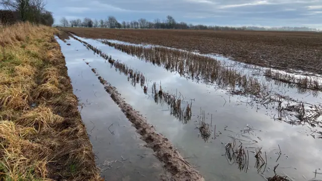 Waterlogged fields in Allanton, the Scottish Borders